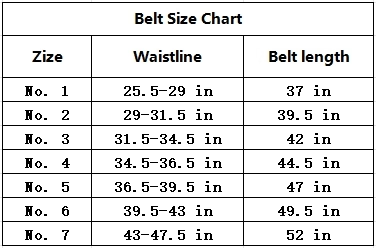 Unisex Suits Casual Every Day Leather Belt