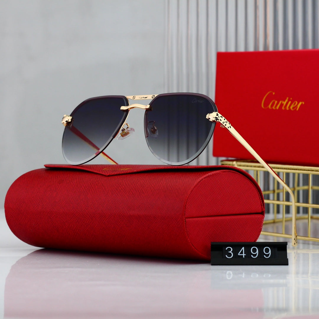 Trendy Timeless Sunglasses