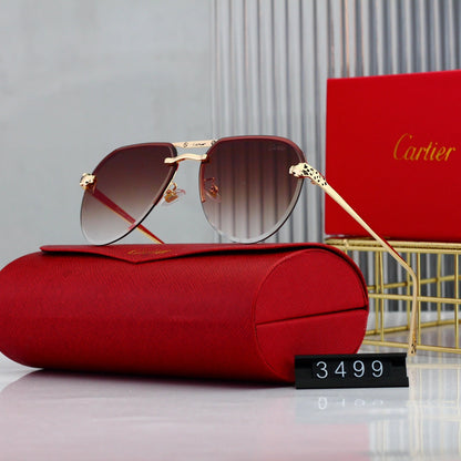 Trendy Timeless Sunglasses