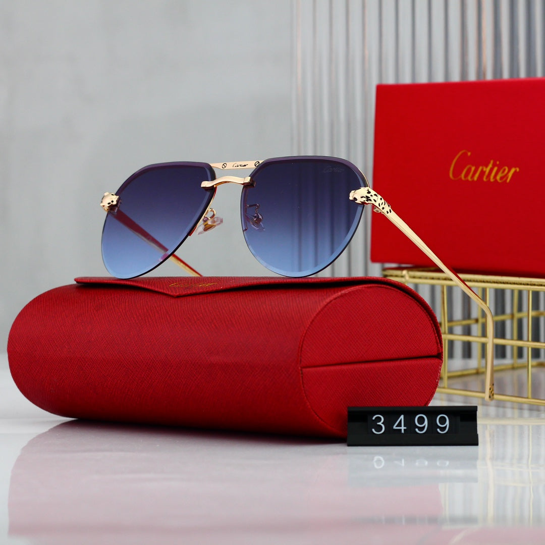 Trendy Timeless Sunglasses