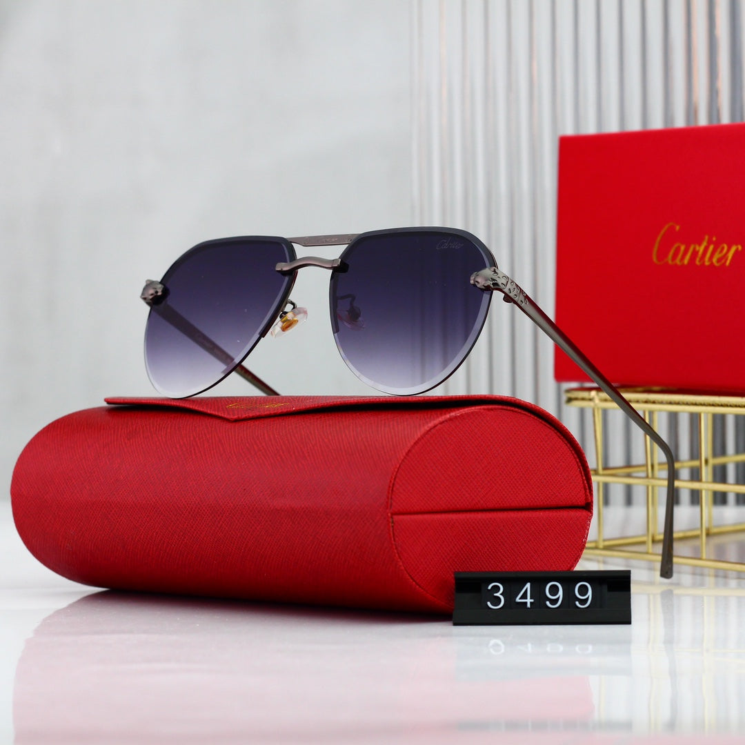 Trendy Timeless Sunglasses