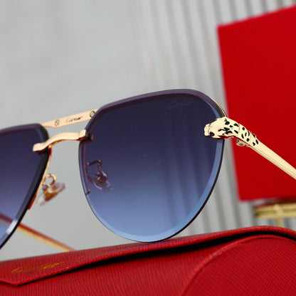 Trendy Timeless Sunglasses