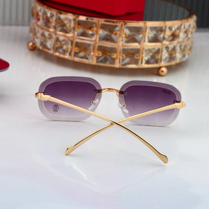 Classic Trendy Sunglasses
